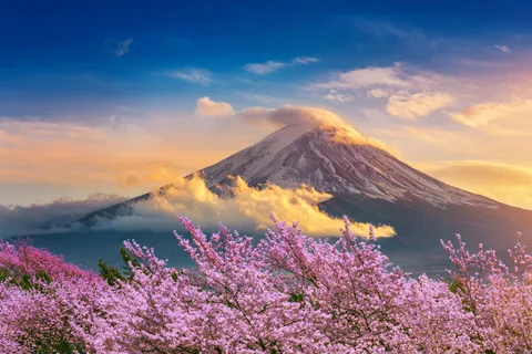 Mount Fuji: Exclusive Private Car Tour