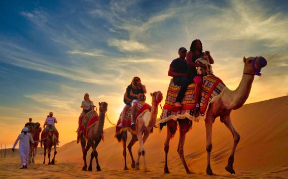 Ab Dubai: Kamelritt bei Sonnenuntergang
