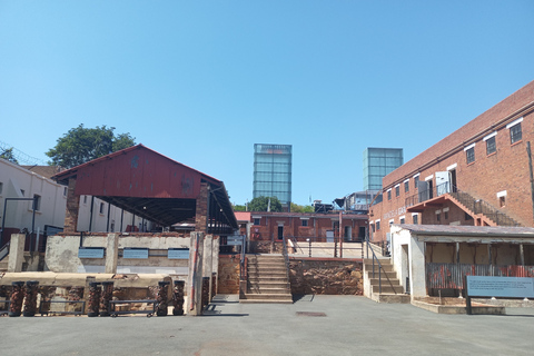 Johannesburg: Private Guided City Tour with Apartheid Museum