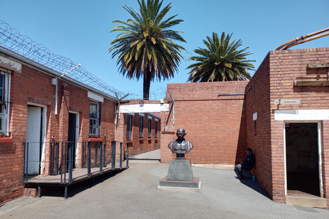 Johannesburg: Private Guided City Tour with Apartheid Museum