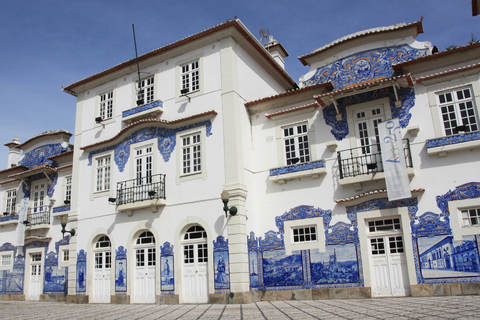 Day Trip to Aveiro and Poças Wine Tasting