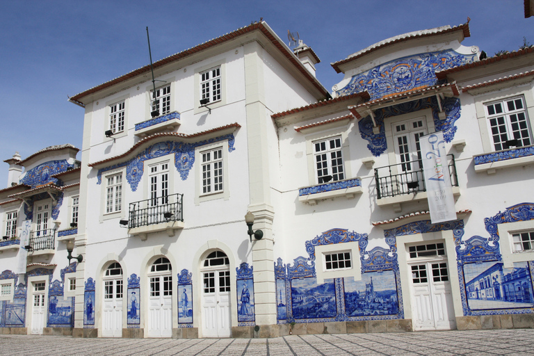 Day Trip to Aveiro and Poças Wine Tasting