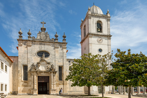 Day Trip to Aveiro and Poças Wine Tasting