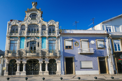 Day Trip to Aveiro and Poças Wine Tasting