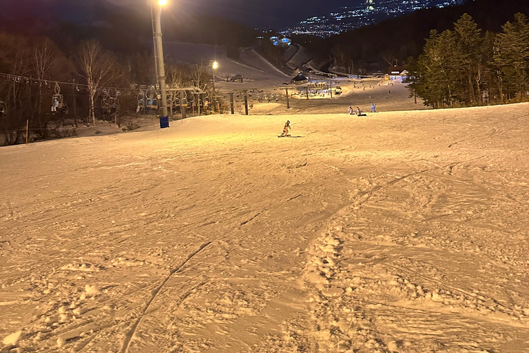 Sapporo Teine Premium Small-Group All-Inclusive Ski Day (night) Small Group Class for 3–4 People