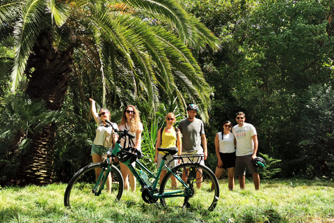 Athens: Electric Bike Tour with Acropolis & Parthenon Visit Tour without Entrance Tickets