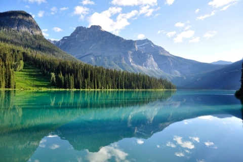 Banff : Partez à la chasse aux chutes d'eau dans les parcs nationaux Banff et YohoAu départ de Banff : Parc national Yoho et visite des chutes d'eau
