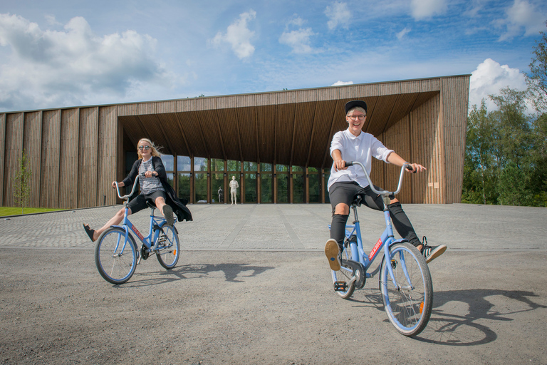 Tampere: Serlachius Museums Entrance Ticket Ticket to Amazing Serlachius in Tampere Region