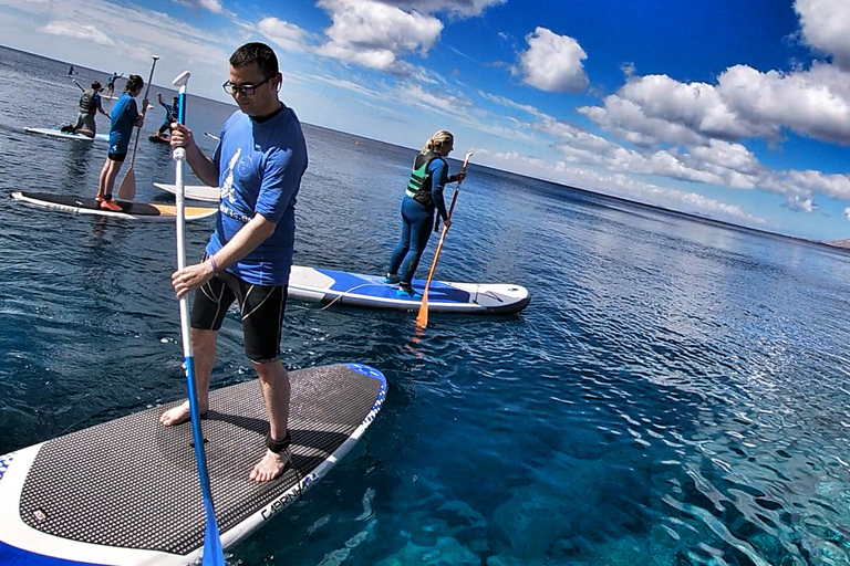 Lanzarote: Stand Up Paddle im ParadiesStand Up Paddle Kurse in der Sonne