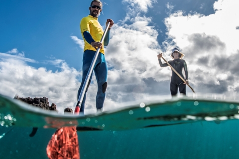 Lanzarote: Stand up paddle in het paradijsStand up paddle lessen in de zon