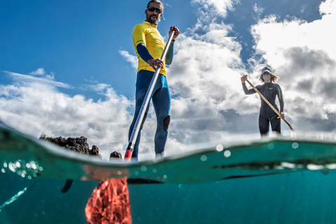 Lanzarote: Stand up paddle in the paradise Stand up paddle classes in the sun