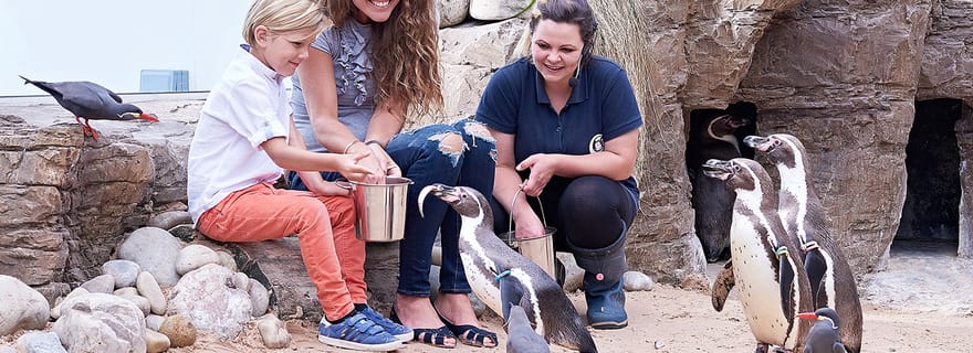 Billet pour l'Océanarium de Bournemouth