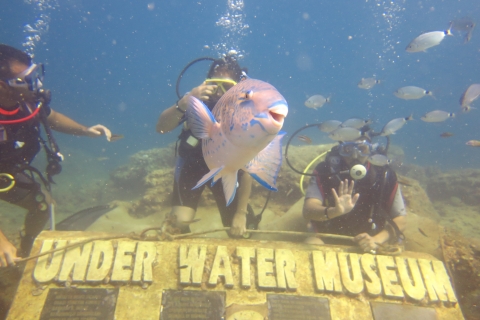 Côté : Plongée sous-marine avec déjeuner