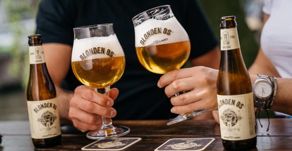 Bruges: &#39;Bourgogne des Flandres&#39; Brewery Visit & Free Beer