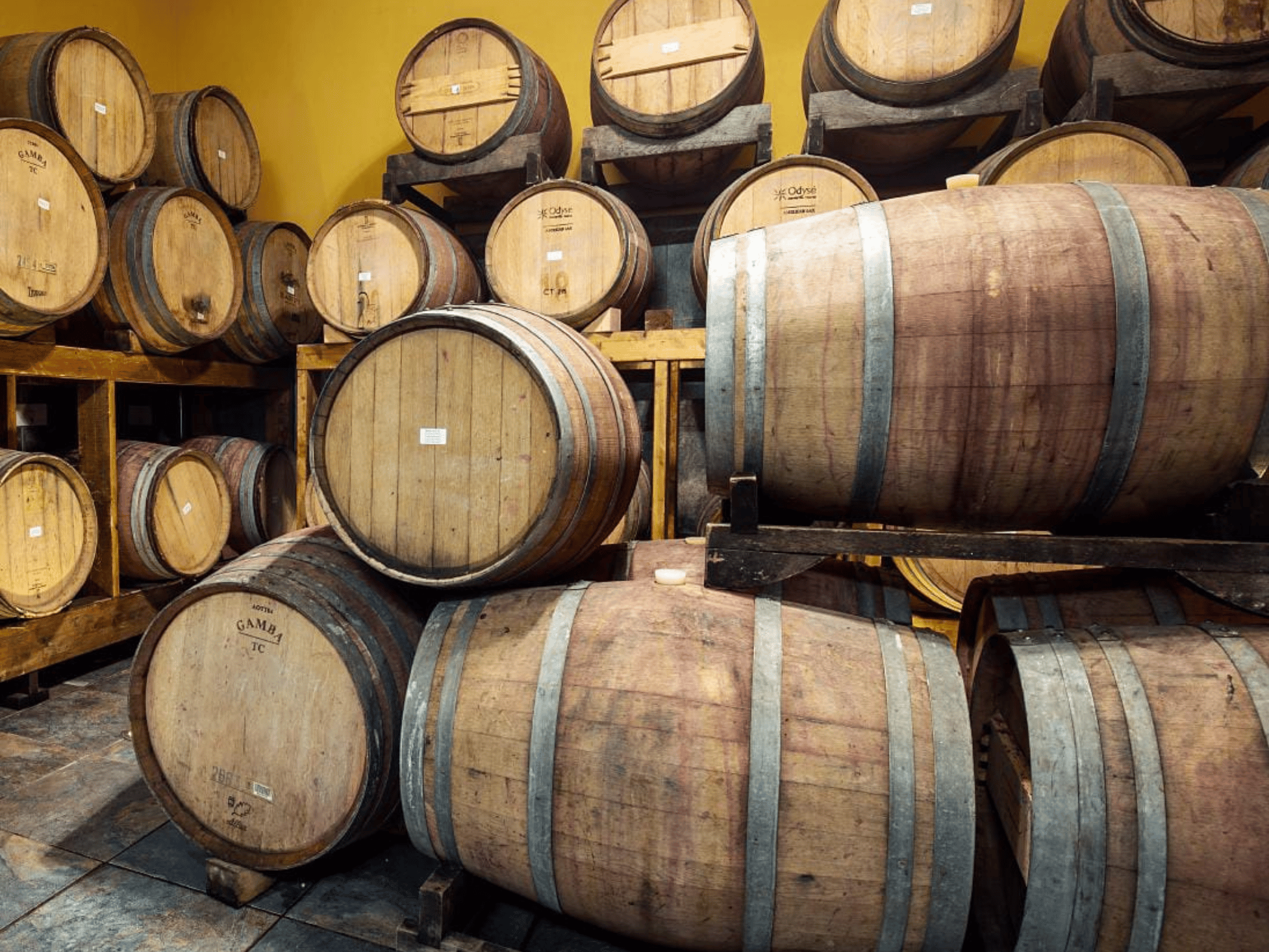 Weingut-Tour und Weinverkostung in der Landschaft von Rieti