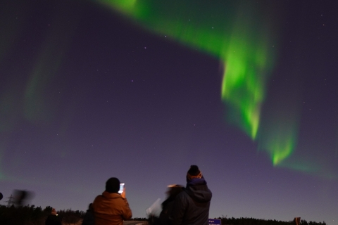 Northern Lights Hunt with the Aurora Viking Standard Option