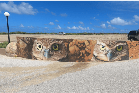 Aruba: UTV Off-Roading Tour and Swim at Arashi Beach