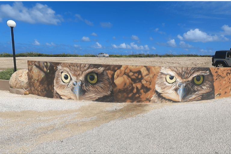 Aruba: UTV Off-Roading Tour and Swim at Arashi Beach