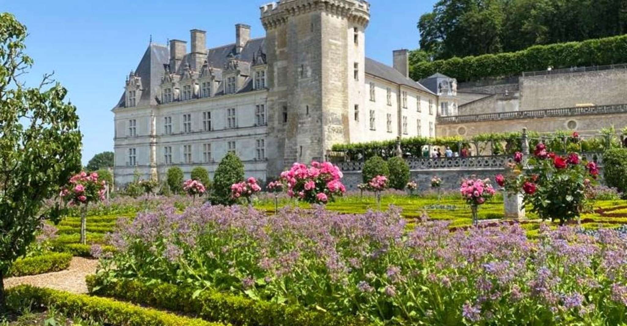 Tours, Chateaux Azay-le-Rideau and Villandry Morning Tour - Housity