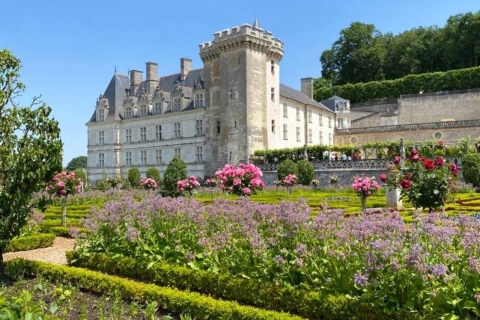 Excursiones: Visita matinal a los castillos Azay-le-Rideau y Villandry