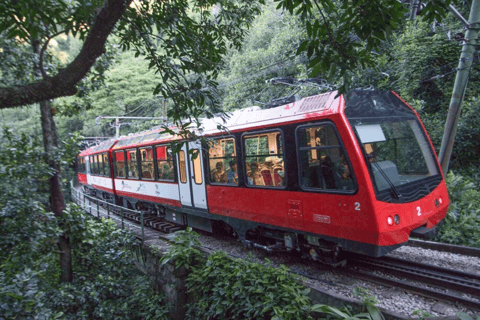 Rio: Christ the Redeemer Official Ticket by Cog Train