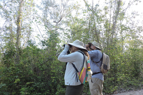 Cancún: begeleide vogelobservatiewandeling