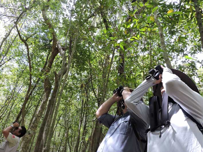Harnais élastique Pour Appareil Photo – Sangle Réglable, Rembourrée | Pour Randonnée, Observation Oiseaux, Photographie Extérieure