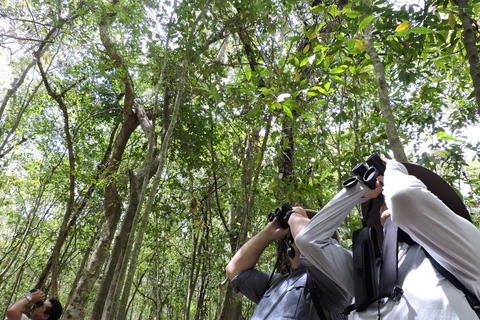 Cancún: Guided Birdwatching Hike