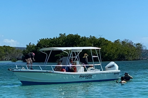 La Parguera: Kreuzfahrt bei Sonnenuntergang und Tour durch die Biolumineszenz-Bucht