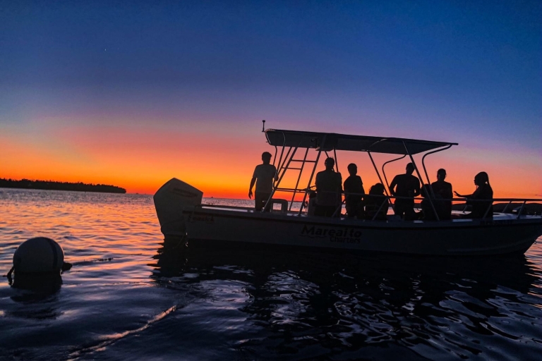 La Parguera: cruise bij zonsondergang en tour door de bioluminescente baai