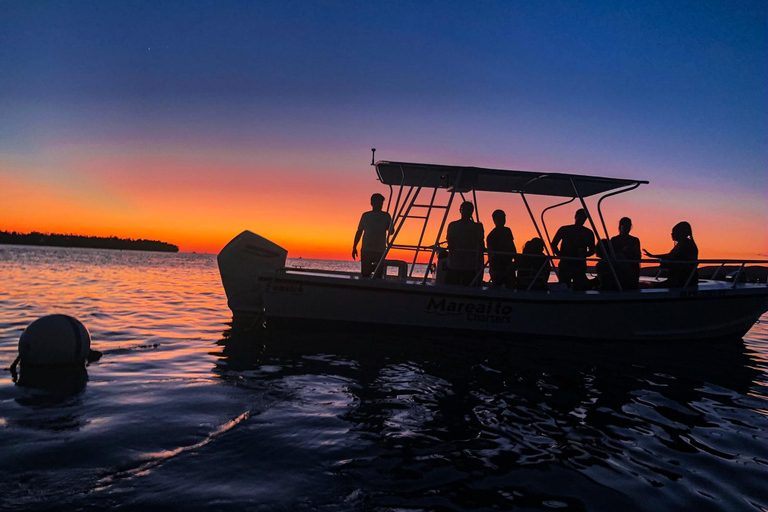 La Parguera: Sunset Cruise and Bioluminescent Bay Tour