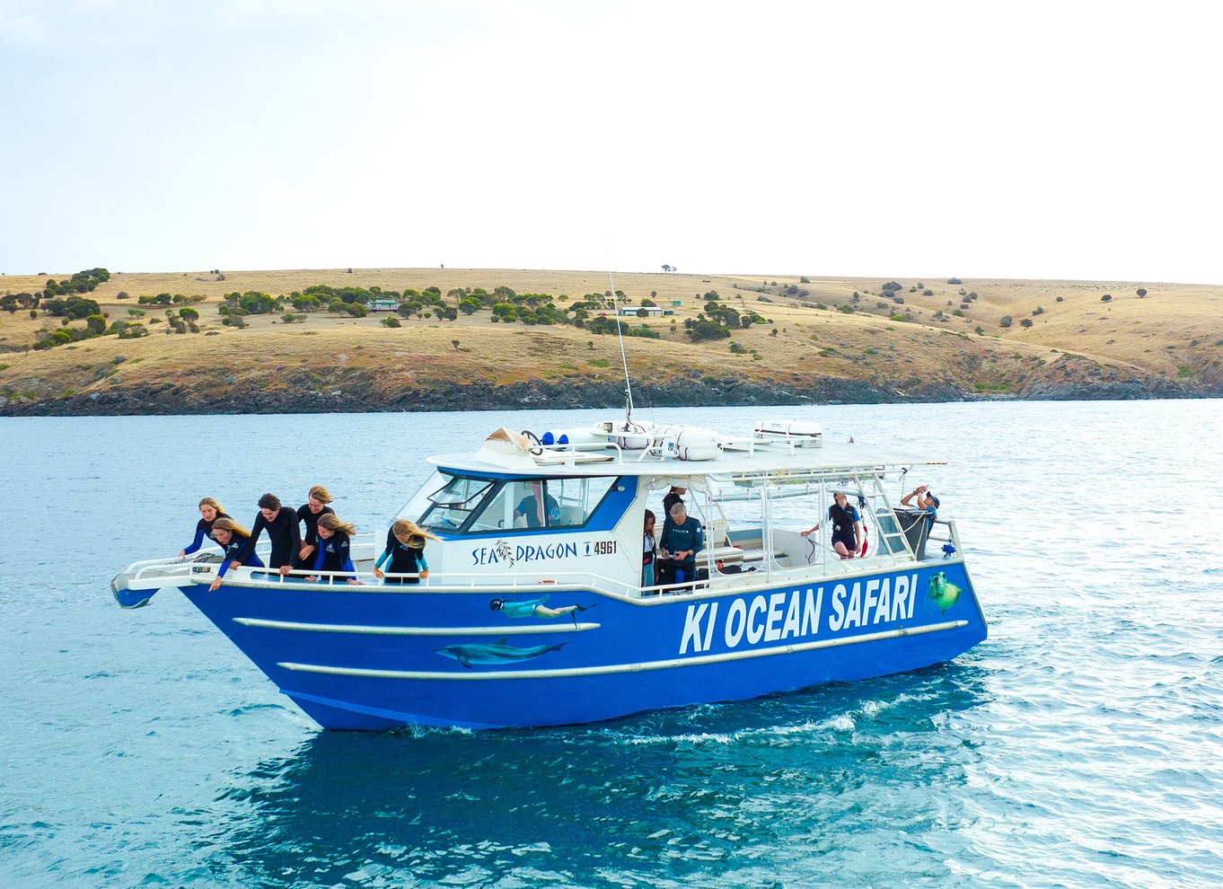 Kangaroo Island: Delfin-, sæl- og svømmebådstur