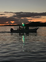 La Parguera, Sunset Cruise and Bioluminescent Bay Tour - Housity