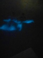 La Parguera, Sunset Cruise and Bioluminescent Bay Tour - Housity