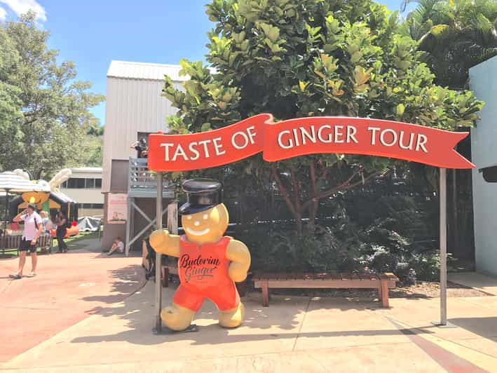 Noosa Kenilworth Donuts, Hinterland Lunch & Ginger Factory GetYourGuide