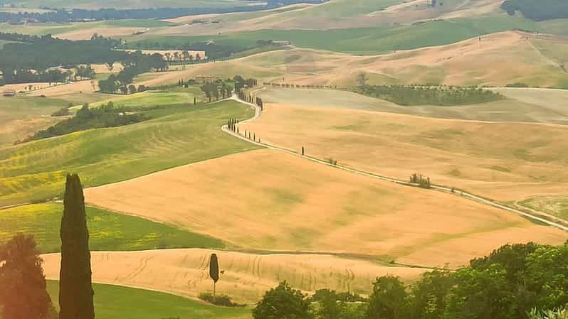 From Florence: Val d'Orcia Region Private Wine Tasting Tour