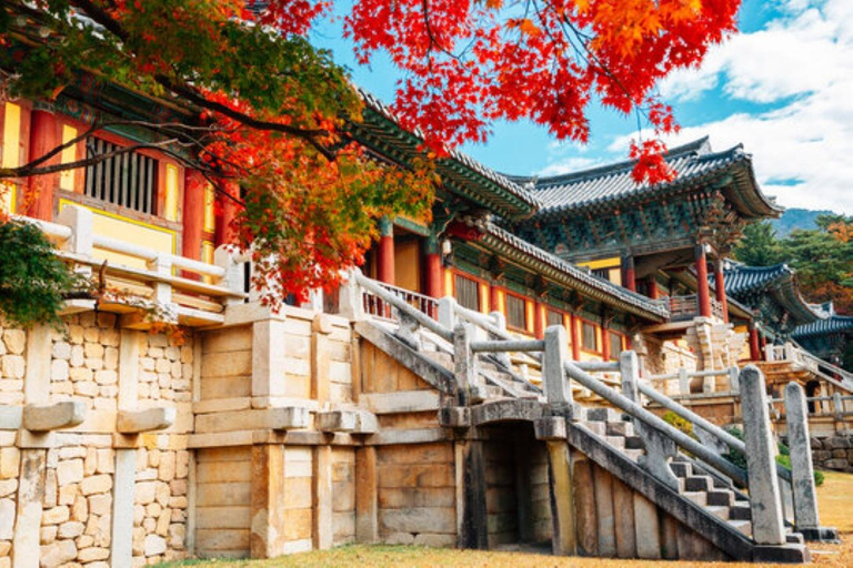 Gyeongju: UNESCO & Heritage Private Custom Tour w/guide