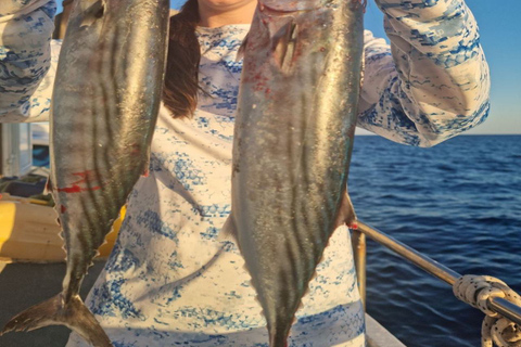 Santorini: passeio matinal privado de barco de pesca em alto mar