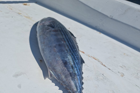 Santorini: passeio matinal privado de barco de pesca em alto mar