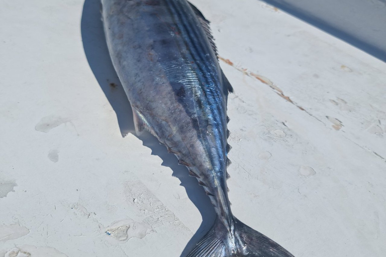 Santorini: passeio matinal privado de barco de pesca em alto mar