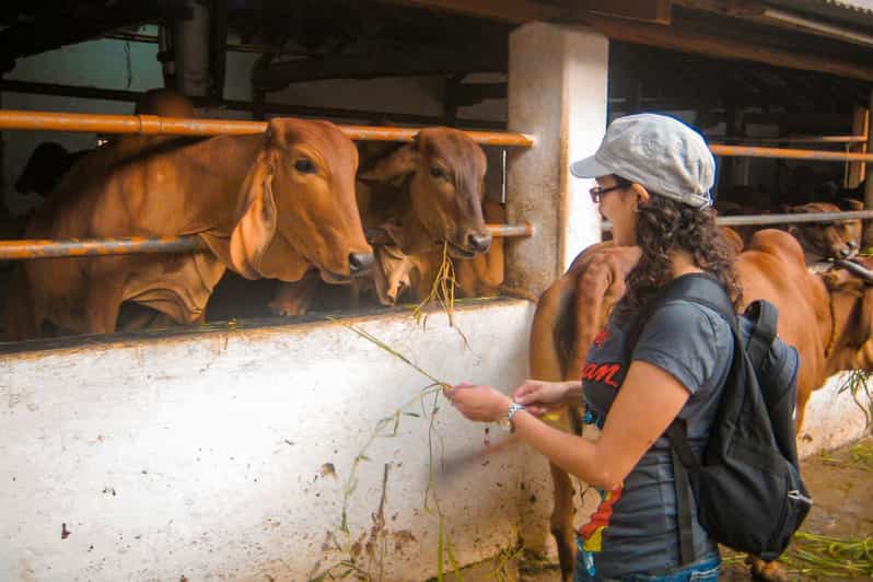 Colagem de mídia
