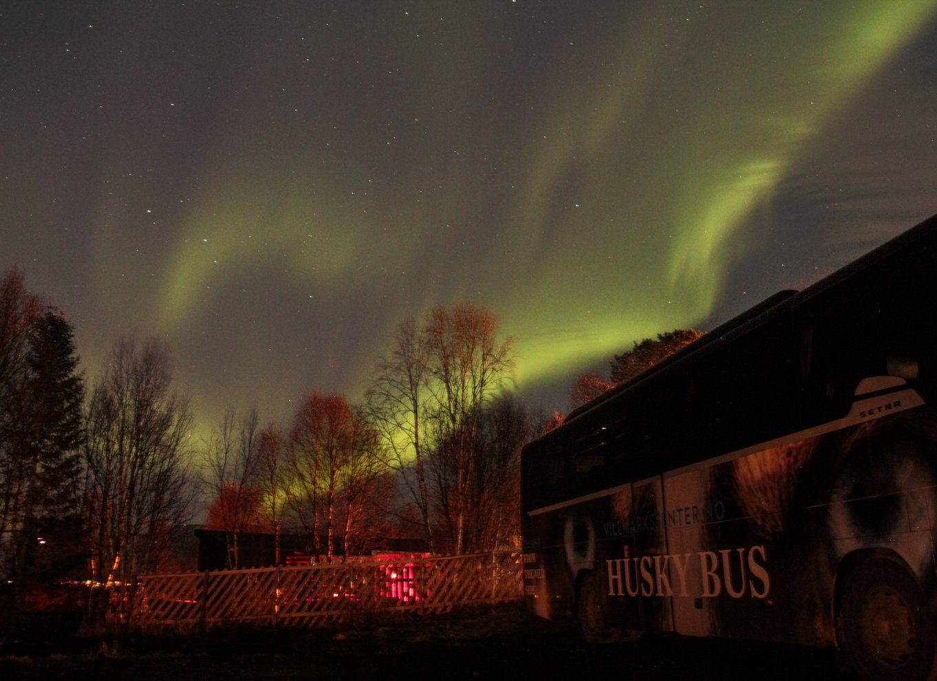 Tromsø: Nordlys Husky-besøg med traditionel middag