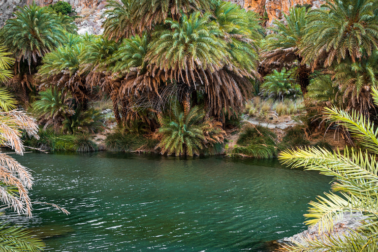 Desde las Zonas de Rethymnon: Preveli y Playa Damnoni Excursión PrivadaExcursión privada de un día a las playas de Preveli y Damnoni desde Rethymno