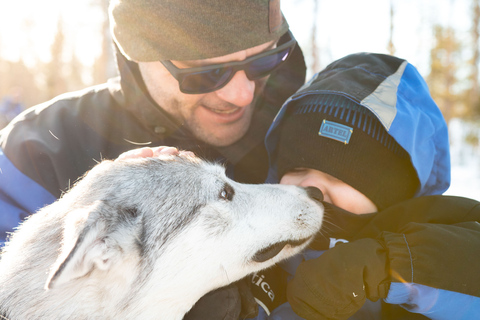 Rovaniemi: Safari diurno con gli HuskyRovaniemi: Husky Safari diurno (primavera)