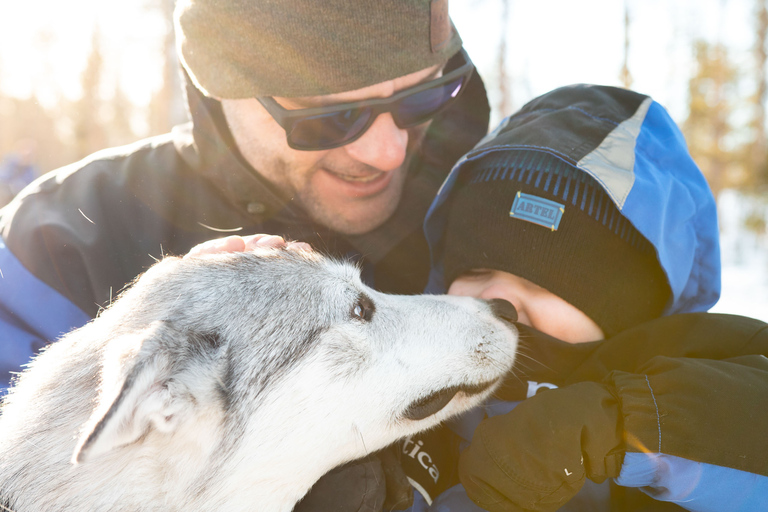 Rovaniemi: Safári diurno com HuskyRovaniemi: Safári diurno com Husky (primavera)