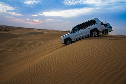 Doha: Desert Safari with Dune Bashing and Inland Sea