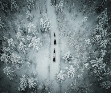 Rovaniemi: Renkälkåkning på dagtid