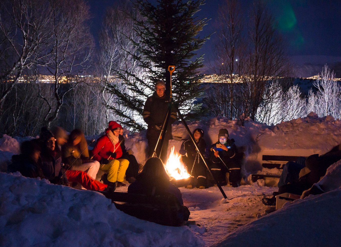 Tromsø: Nordlys Husky-besøg med traditionel middag