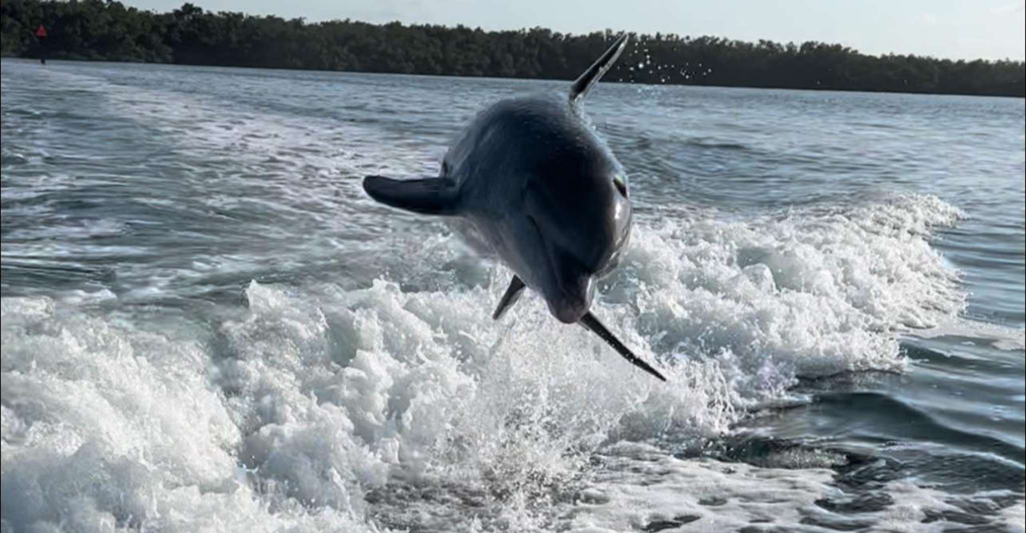 Islamorada, Multi-Attivity Private Boat Charter - Hizvo