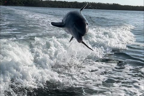 Islamorada: Multi-Activity Private Boat Charter